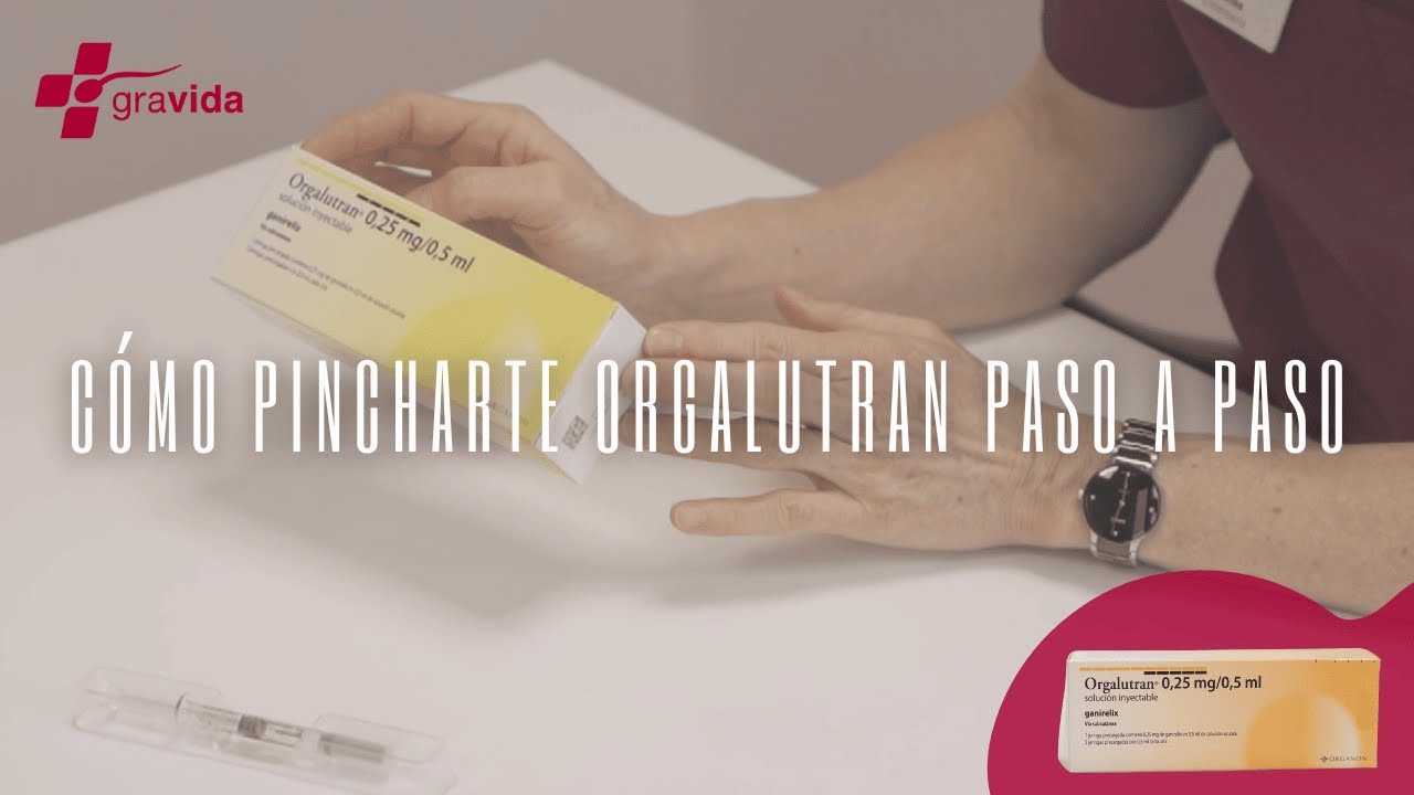 Com administrar correctament l'Orgalutran 0,25 mg/0,5 ml | Gravida
