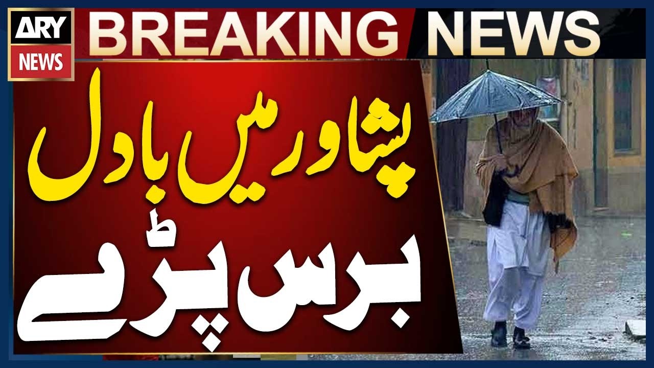 Rain Brings Pleasant Weather to Peshawar and Surrounding Areas | Heavy Rain in Pakistan | Rain Alert
