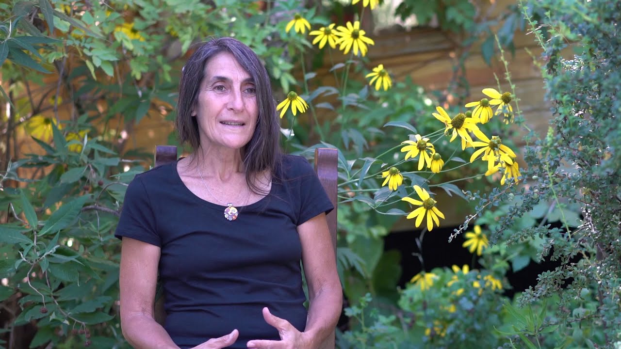 Sara Itkin   La importancia de las plantas nativas