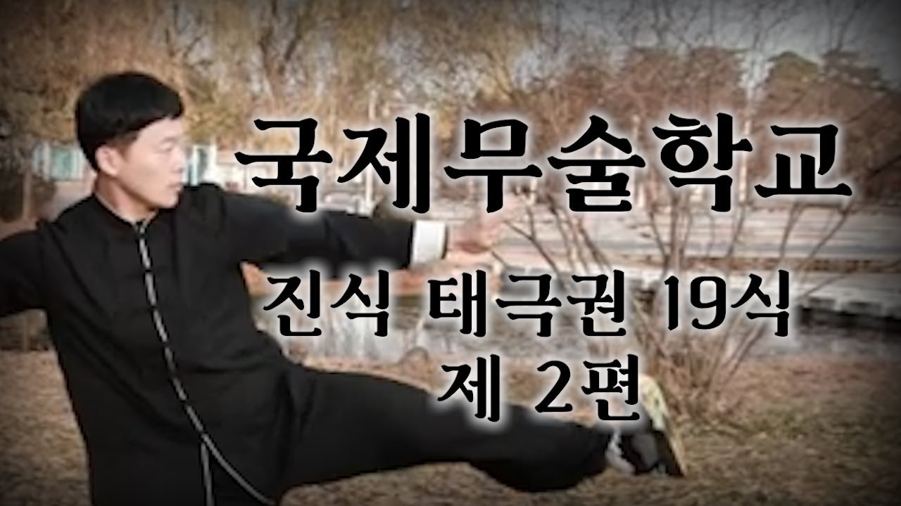초보자를 위한 태극권 - 진식태극권 19식 (2)