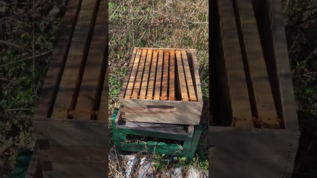 Starting the bee season off. 