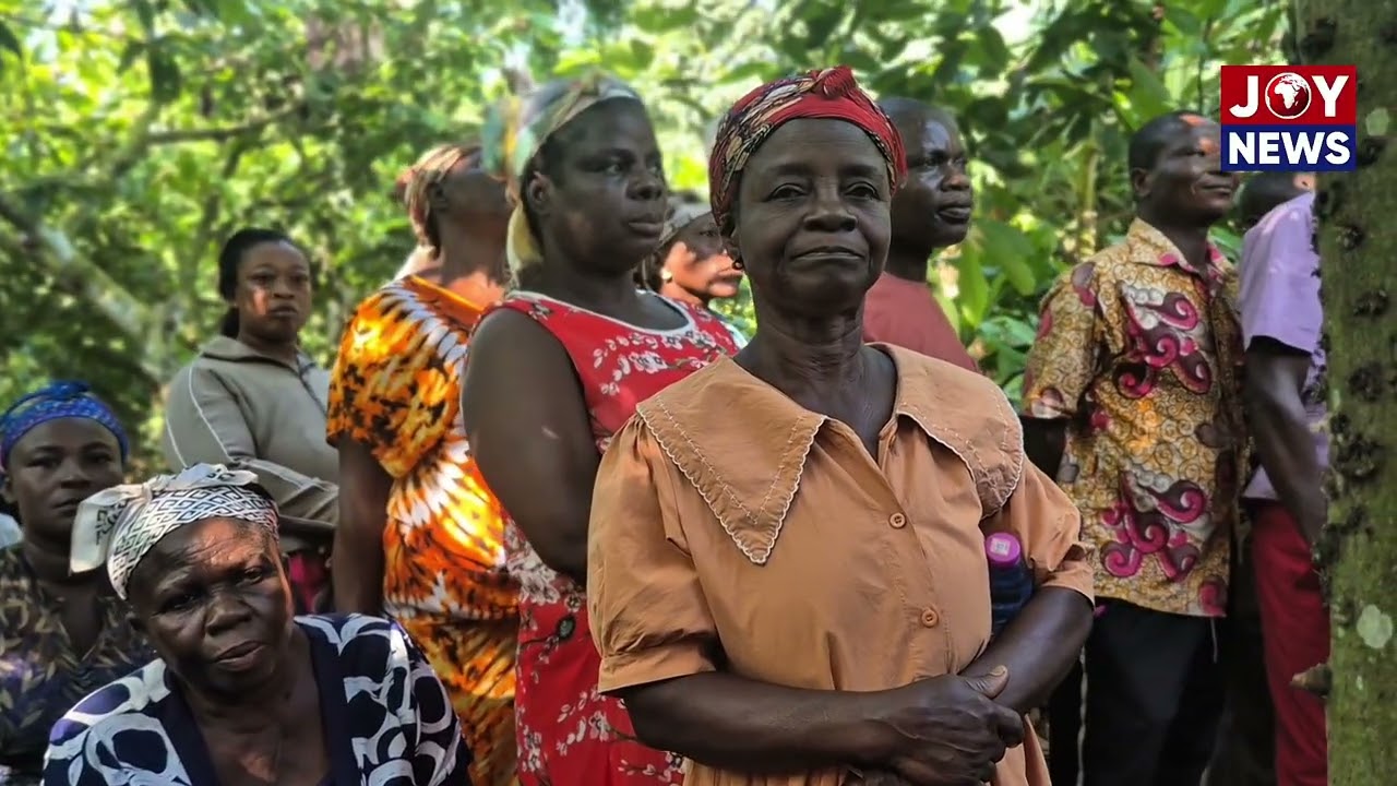 Angry Cocoa Farmers Demand Answers as Price Cuts and Unpaid Dues Spark Tensions