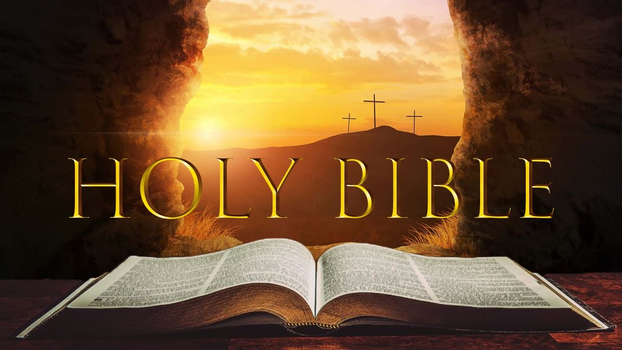 What The Bible Taught Me