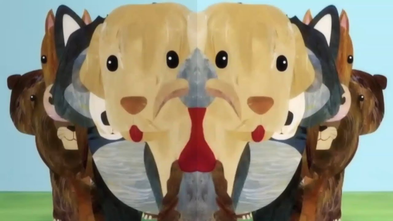 Name the Animal Here Effects / Sponsored by: Preview 2 Effects  