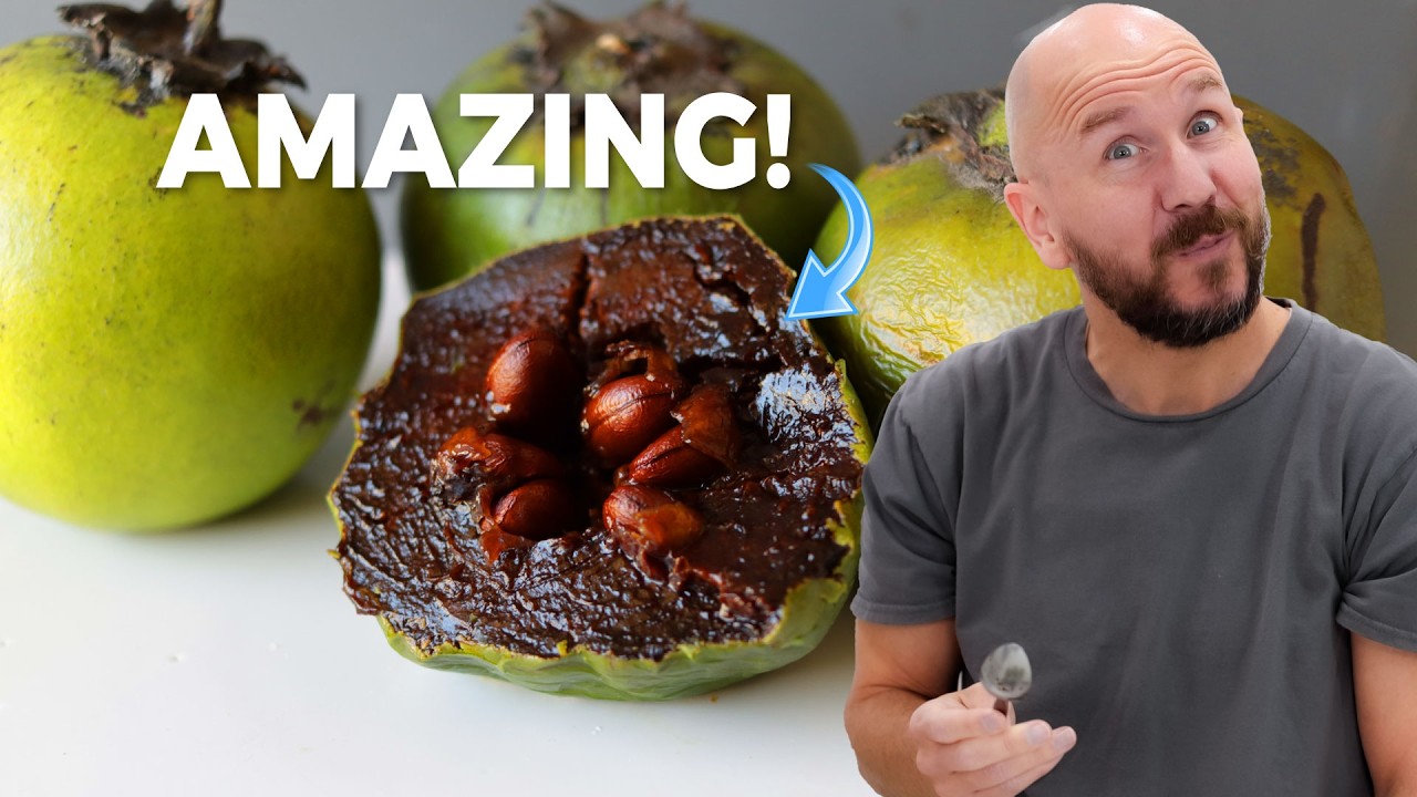 How to Eat Black Sapote or Chocolate Pudding Fruit | AMAZING Fruit
