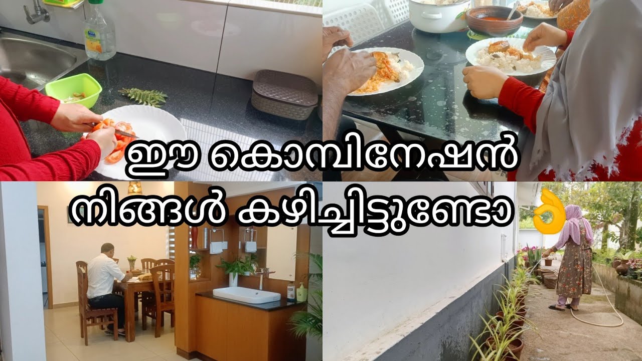 എന്റെ ഒരു സാധാരണ ദിവസം ☺️മീൻ മുളകിട്ടതും Ghee rice ഉം /vlog