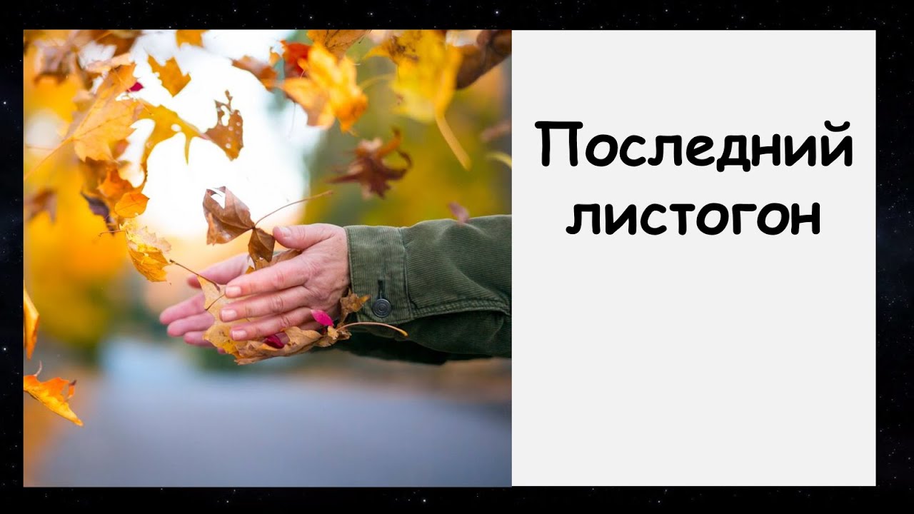 Как увидеть красоту мира сквозь проблему...