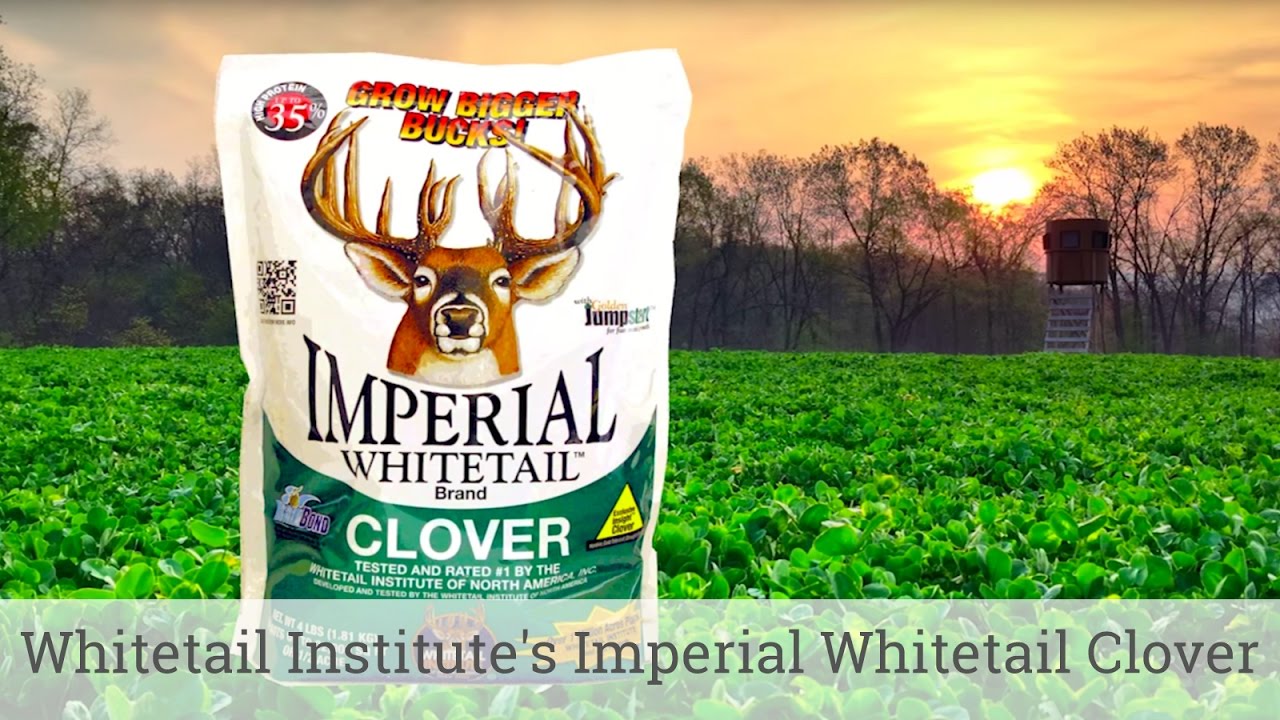 Whitetail Institute's Imperial Whitetail Clover