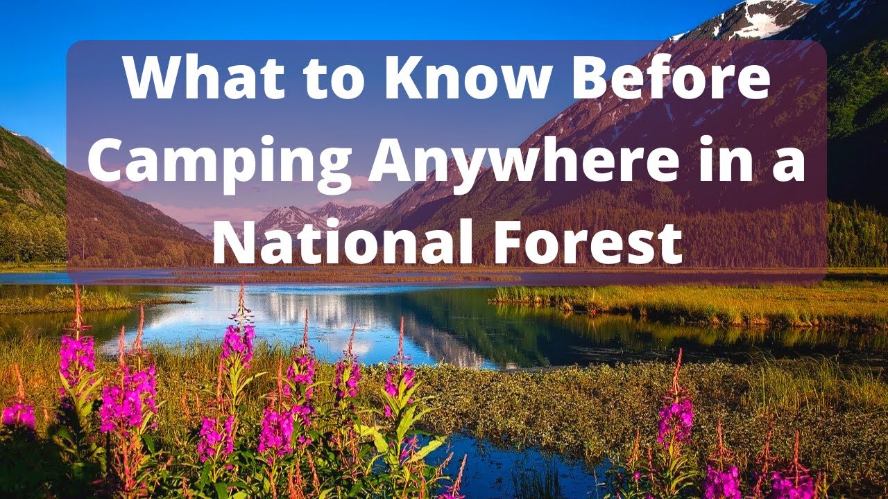 How to Camp Anywhere in a National Forest