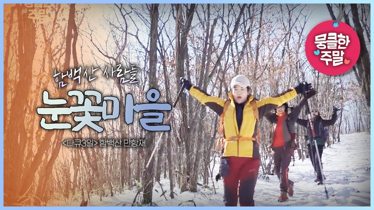 [뭉클한 주말🥰 #116]  눈꽃피는 탄광마을 | 함백산 만항재 [다큐3일 200117 KBS 방송]