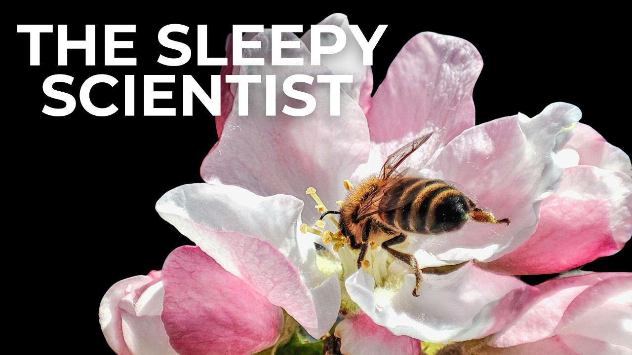 The Sleepy Scientist | The Most Relaxing Spring Facts To Fall Asleep To