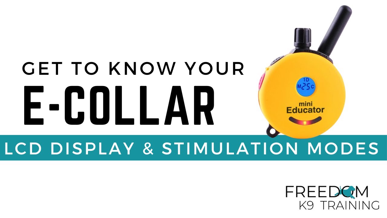 Display & Modes - Mini Educator Manual How To | Freedom K9 Training