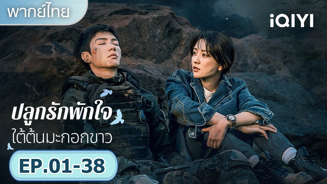 【รวมซีนสุดฟิน】|🤍ปลูกรักพักใจ ใต้ต้นมะกอกขาว (The White Olive Tree)|iQIYI พากย์ไทยสุดฟิน