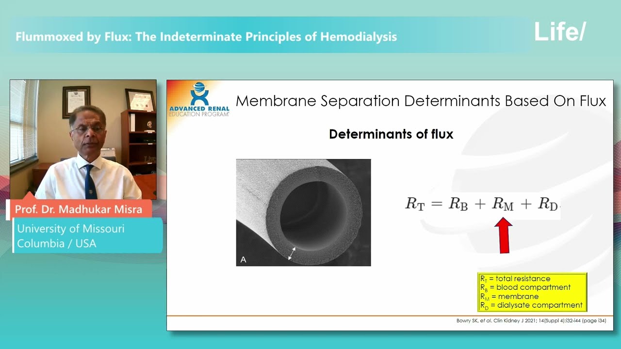 Flummoxed By Flux: The Indeterminate  Principles of Haemodialysis