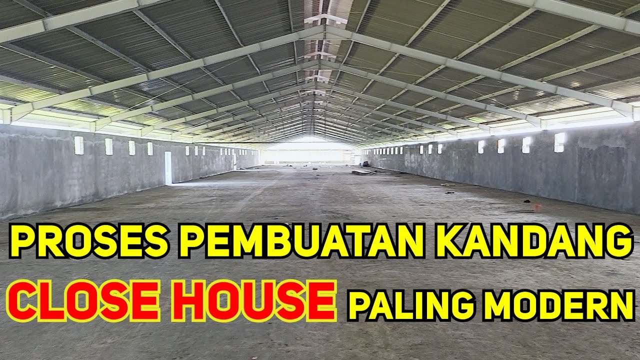 PROSES KANDANG AYAM CLOSE HOUSE PALING MODERN