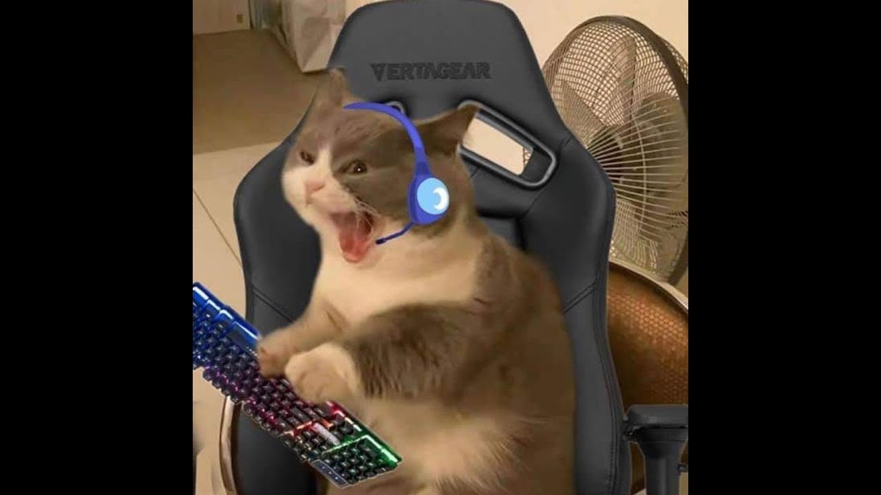 here we go again