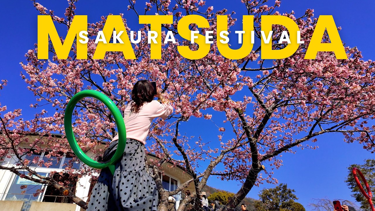 This Sakura Festival Has the BEST Mt. Fuji View 🌸 Matsuda Walkthrough