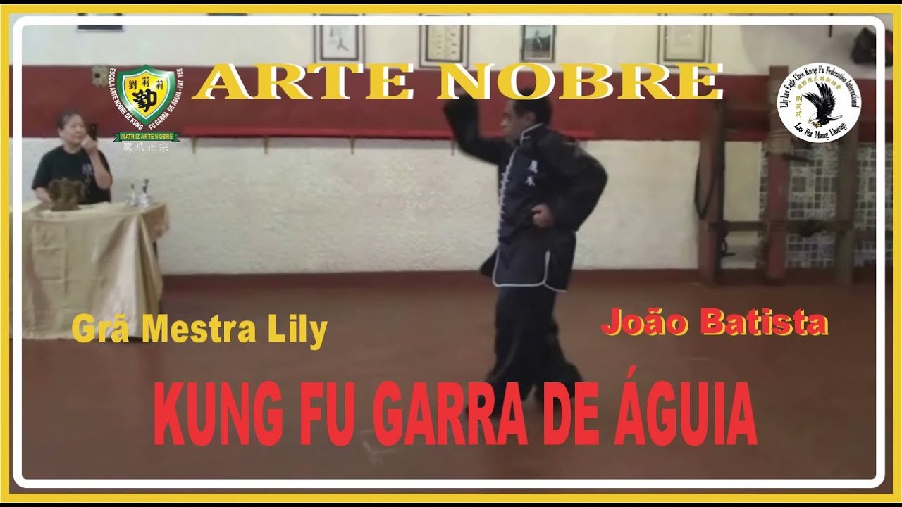 Kung Fu Garra de Águia   Lily Lau  Brasil