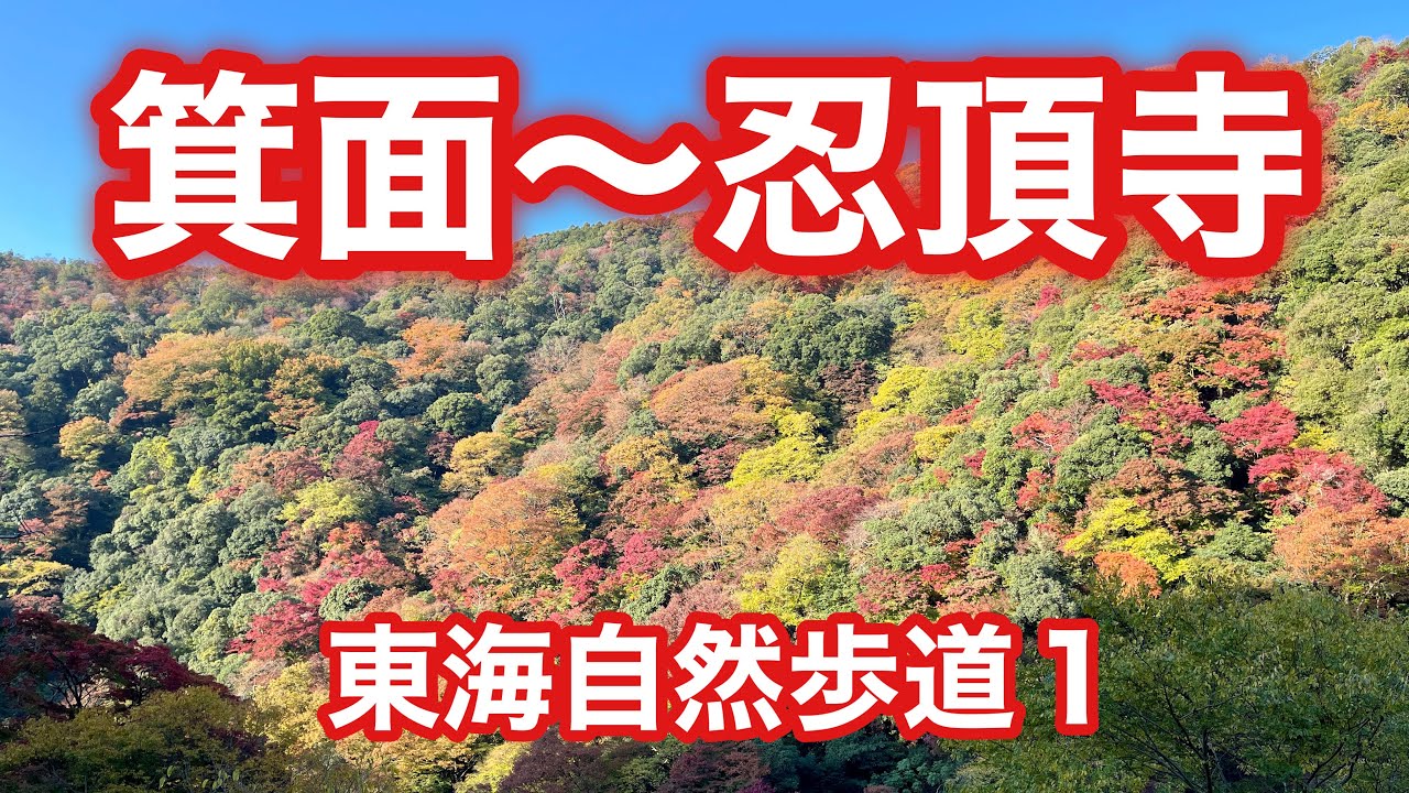 東海自然歩道１（箕面〜忍頂寺）　#31