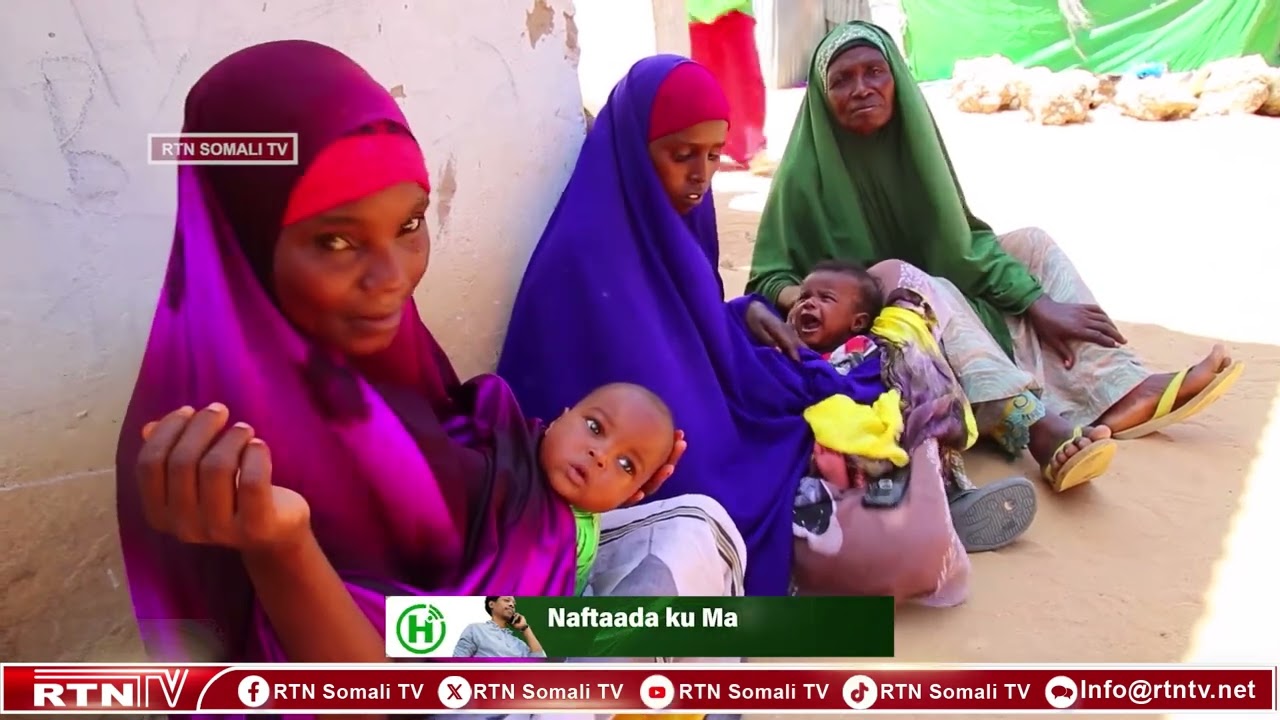WFP oo ka digtay hakad ku yimaada howlaha gargaar ay kawado Soomaaliya xilli abaar ba’an ay ka jirto