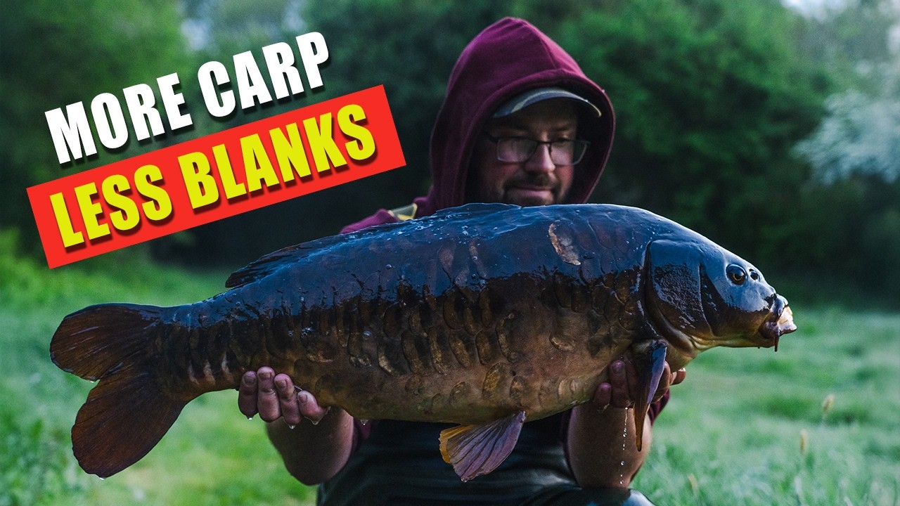 How to Catch More Carp in Hot Weather | Summer Fishing Guide🥵☀️