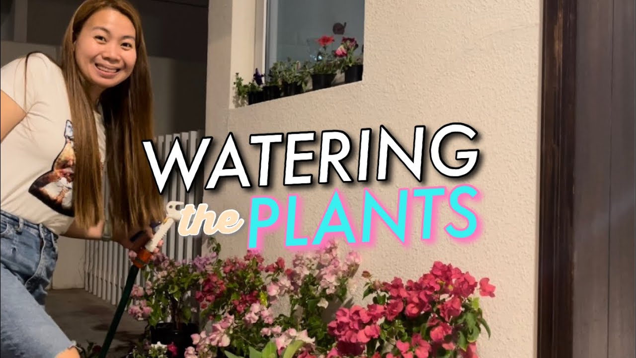 PLANTS AT HOME | Jah and Ge