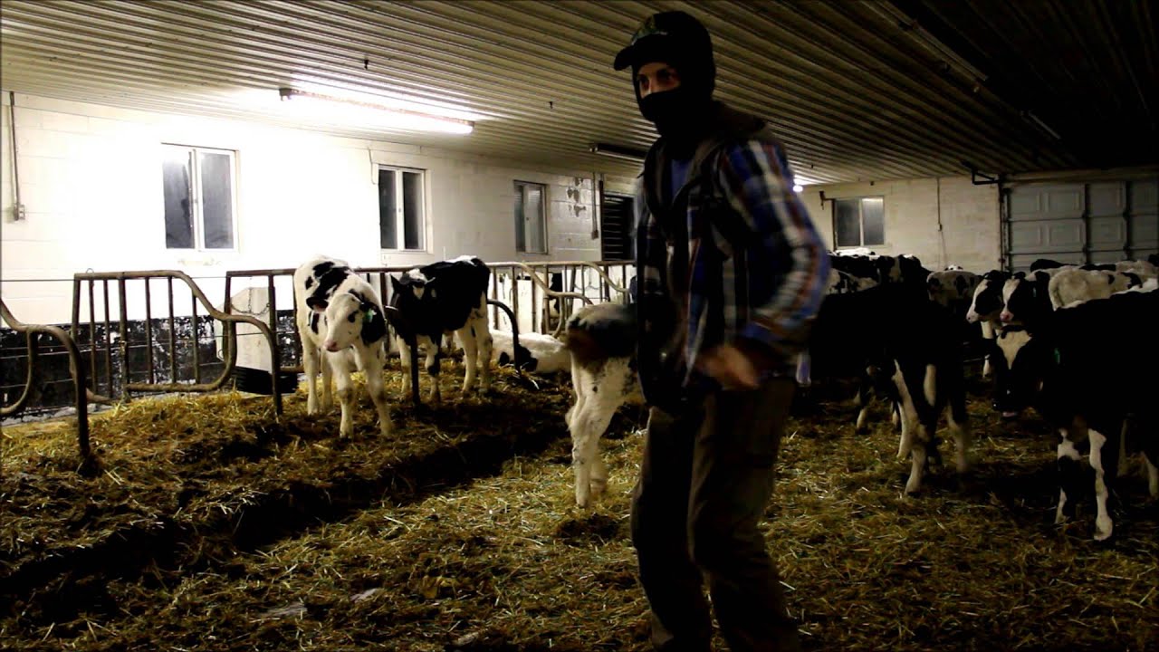 harlem farm shake