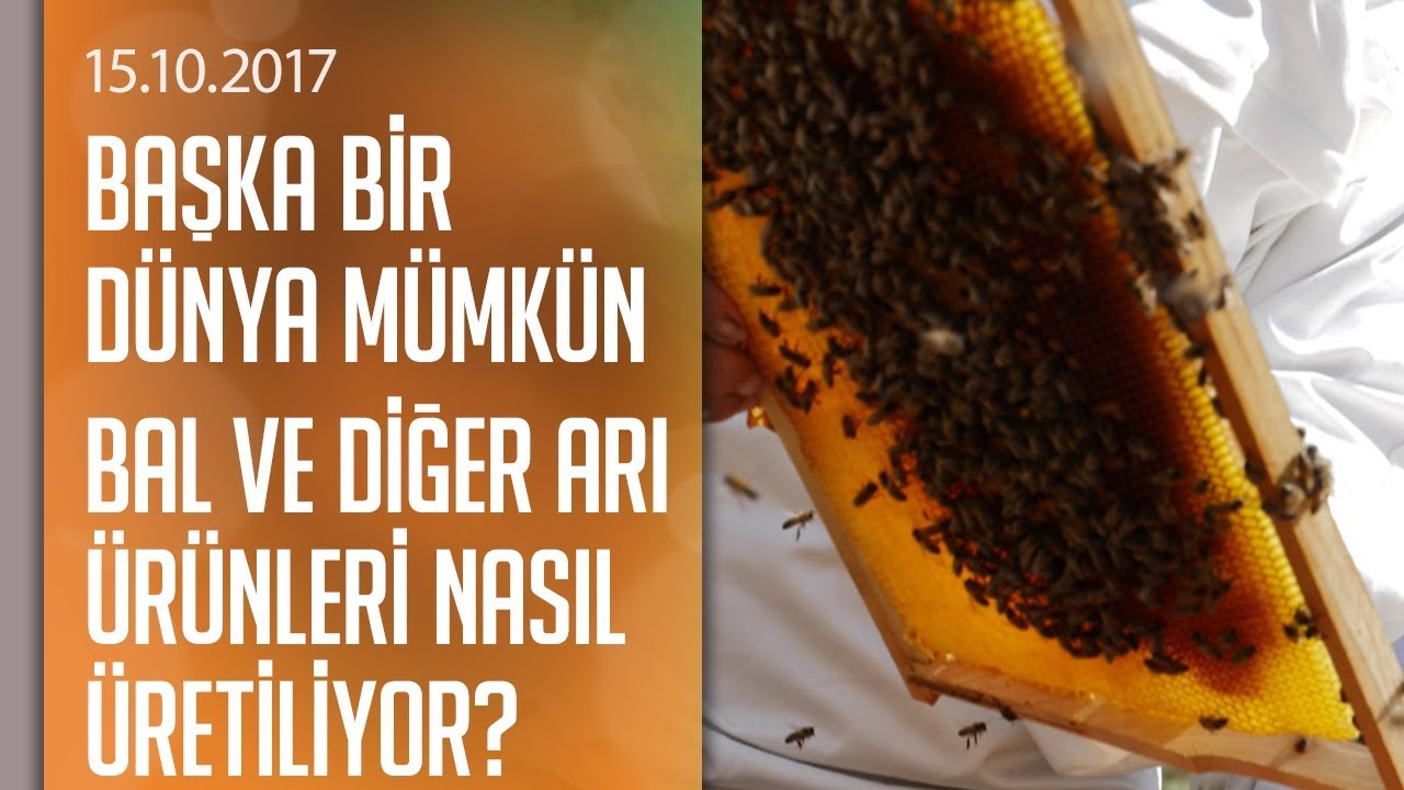 Cem Seymen bal üretimini araştırdı - Başka Bir Dünya Mümkün 15.10.2017 Pazar