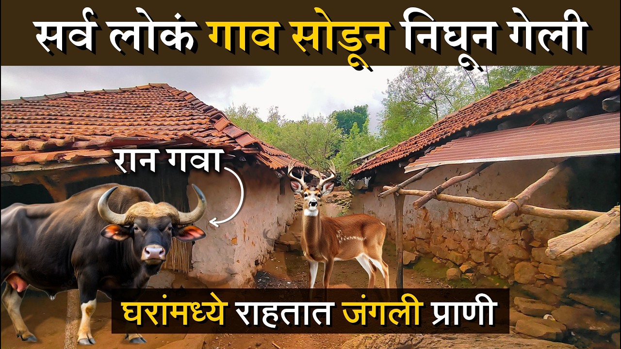महाराष्ट्रातील एकमेव गाव 🛖 जिथे एकही माणूस नाही | हे गाव लोकांनी का सोडले बघा | Payavata | Village
