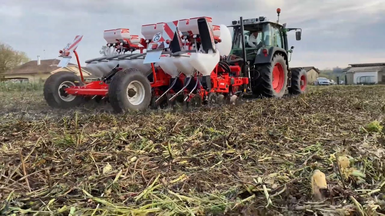 Semis Direct Maïs à 40 cm après roulage du couvert végétal - Avril 2022
