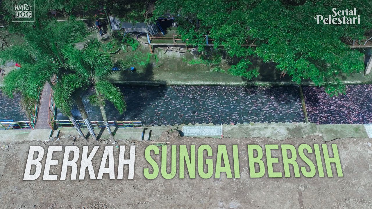 BERKAH SUNGAI BERSIH | PELESTARI