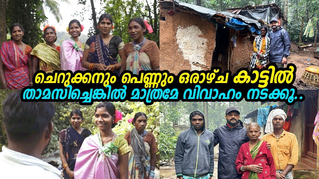 ഇവിടുത്തെ ആചാരവും വിവാഹവും ഇങ്ങനെയാണ്.This is the custom and marriage here