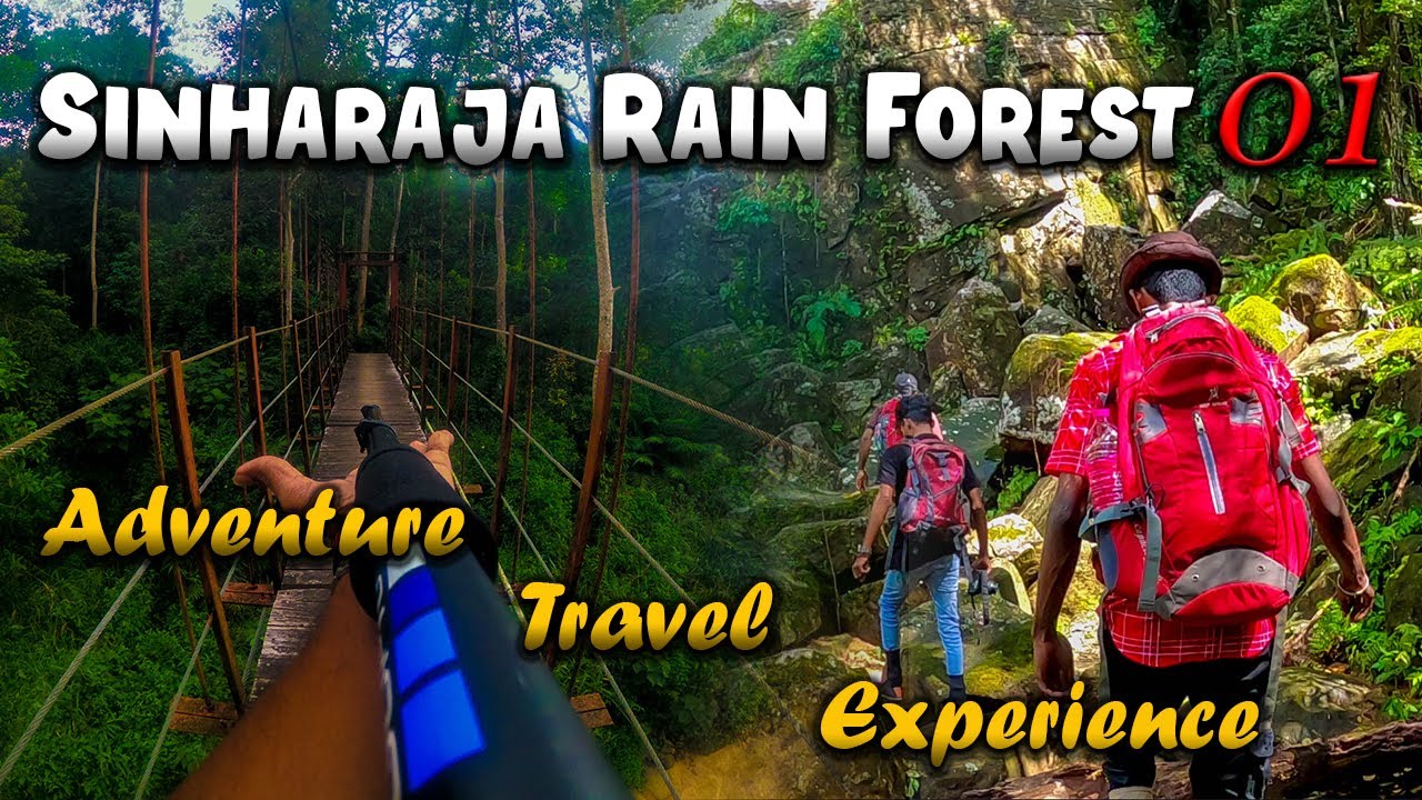 Sinharaja Rain Forest | Part 01 | TRAVEL HUB LK_VLOG 04