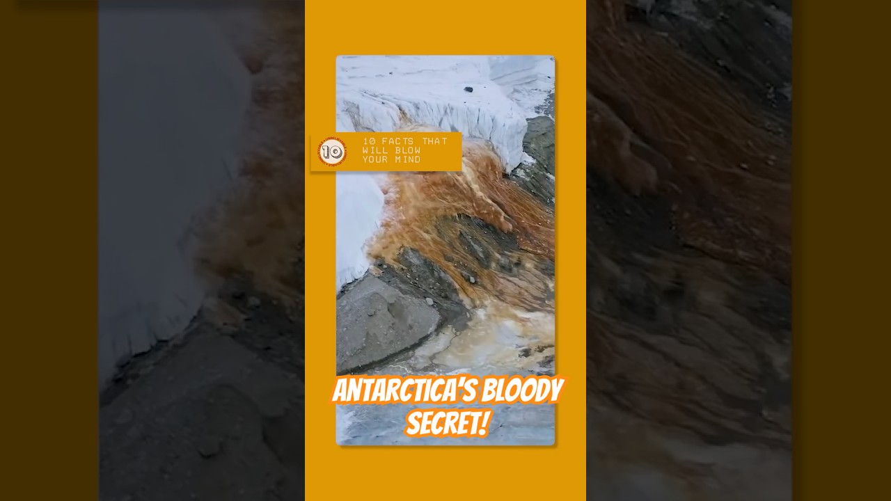 The Antarctic Waterfall That Looks Like Blood!