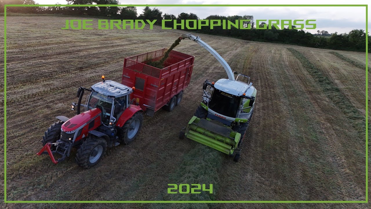 Joe Brady  Chopping Grass 2024