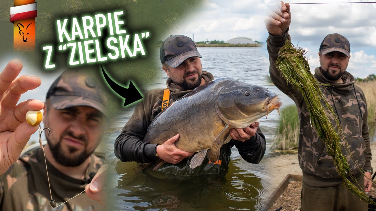 KARPIE Z ZIELSKA | Fox carp fishing