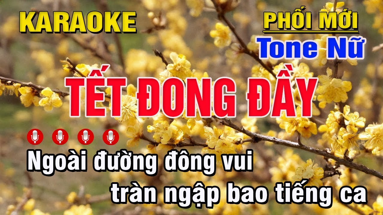 Tết Đong Đầy Karaoke Tone Nữ (D#) - Trung Hiếu Karaoke