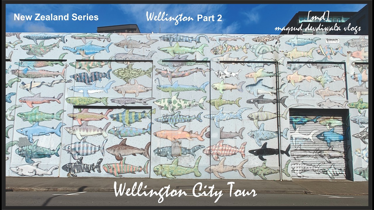 Wellington City Tour | Taranaki Wharf | Cuba Street | Oriental Parade | New Zealand Series | Part 2