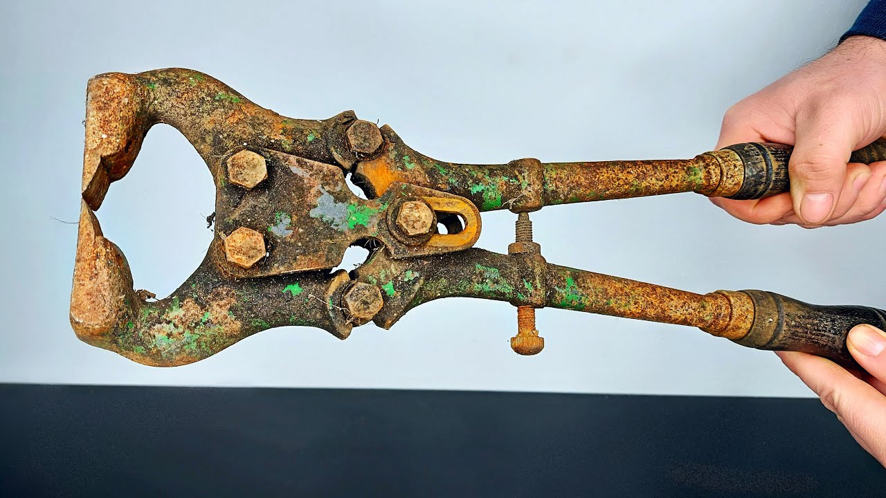 Cow Hoof Pincers Restoration