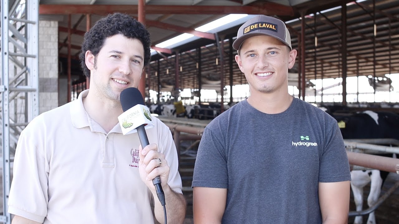 California Dairy Producer Invests in Robotic Milking System
