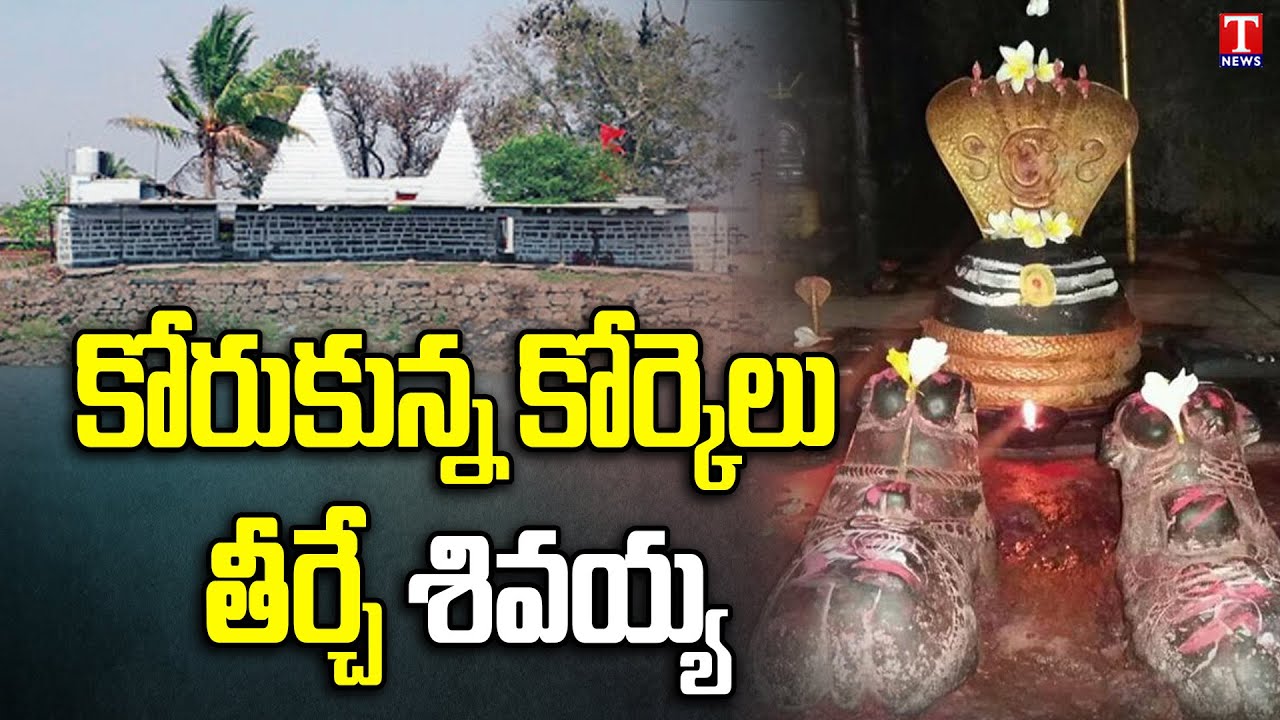 Special Story On Sirichelma Mallanna Temple In Adilabad | Maha Shivaratri | T News