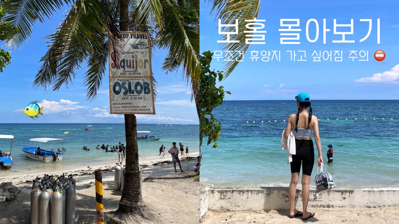 🇵🇭❤️‍🔥 | 이 영상 보면 휴양지 가고싶어짐 주의 👙🥽🐠 | 누구보다 알차게 놀다온 4박 6일 '보홀' 몰아보기 (1시간 25분)