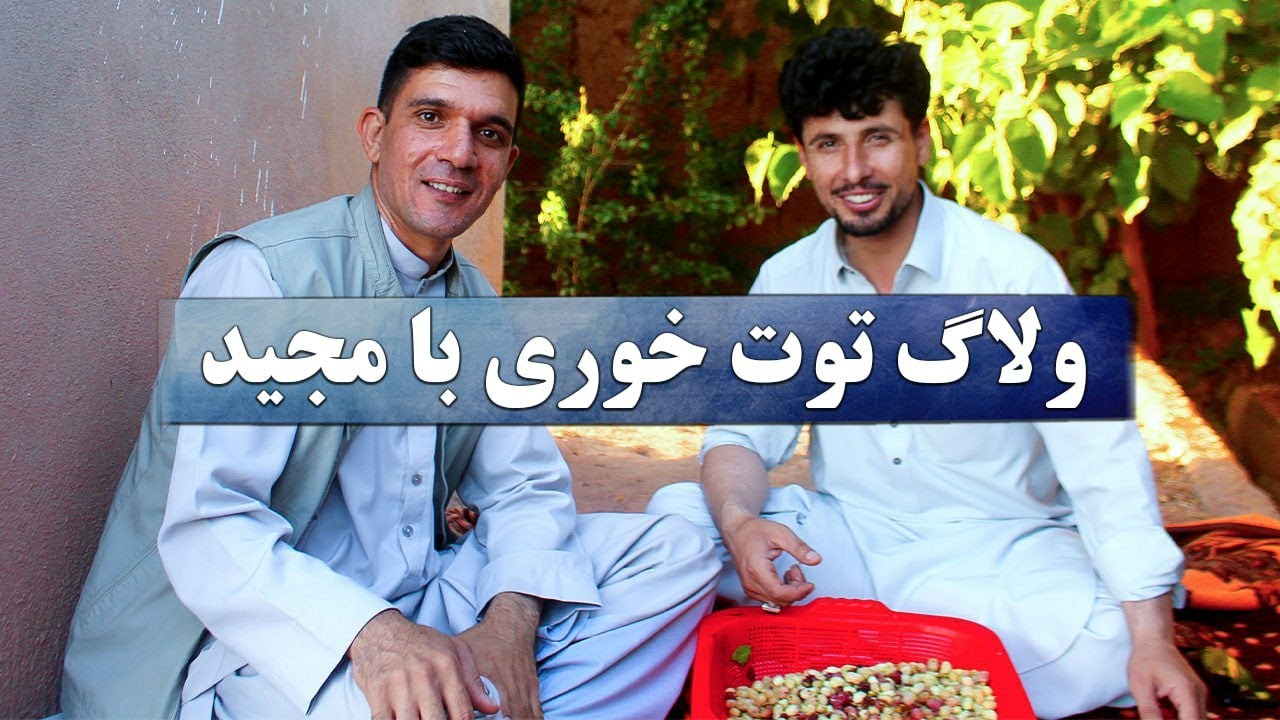 ولاگ تفریحی با مجید احمدخانی روستای نوبادام و توت خوری