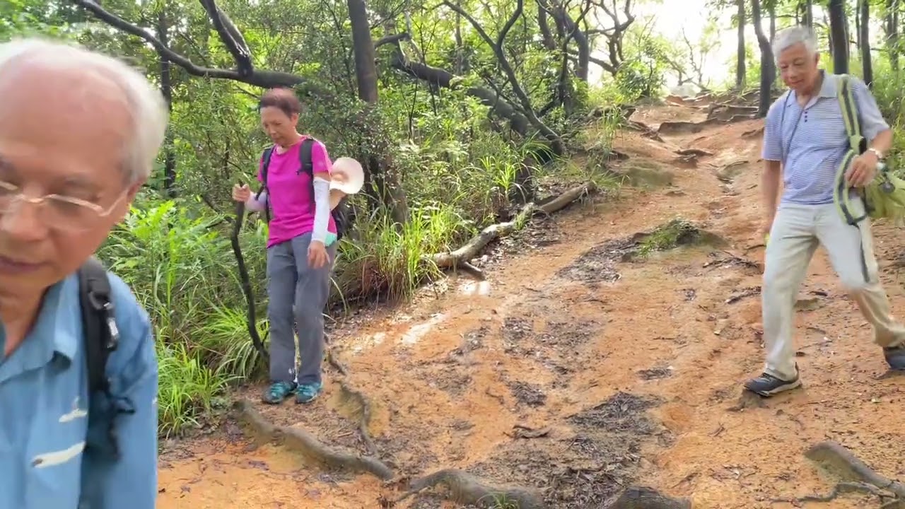 2024:7:4 板樟山森林公園