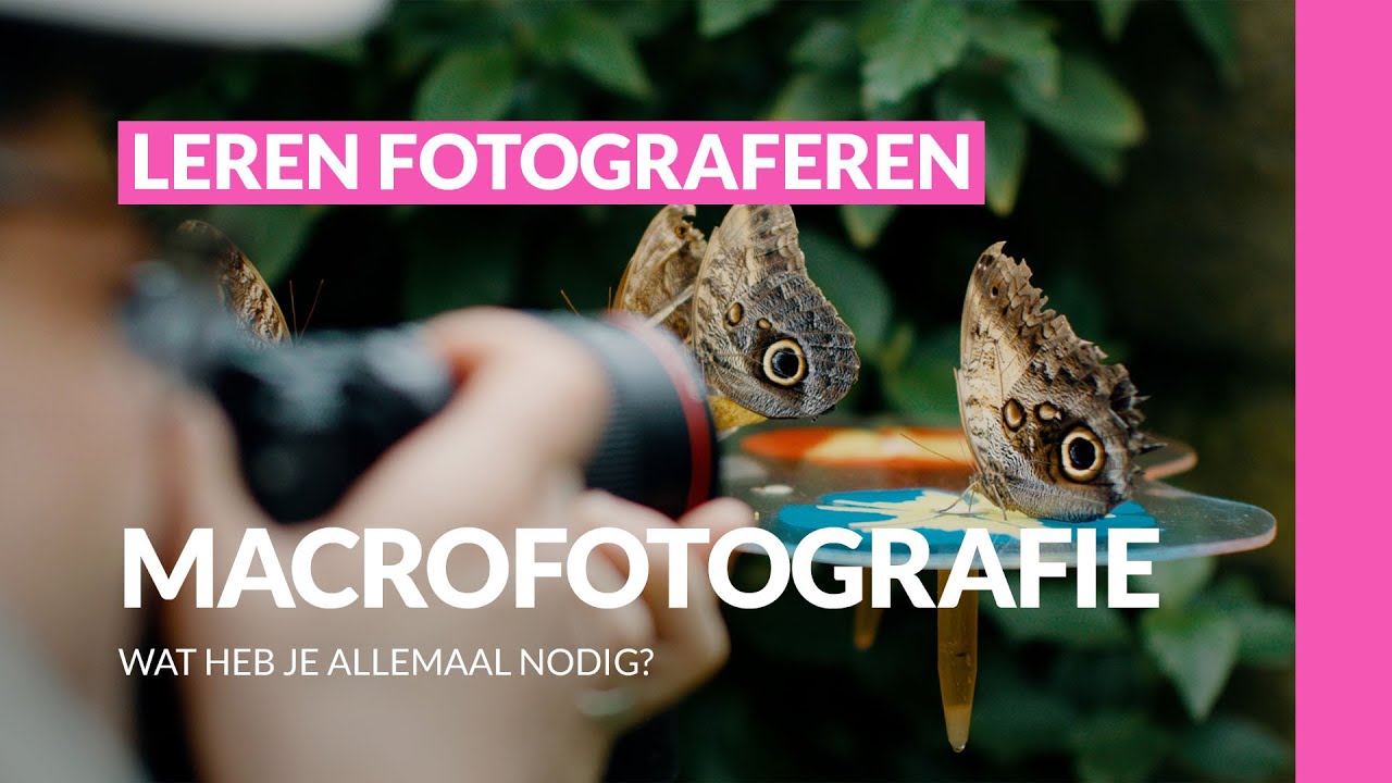 Что такое макрофотография и что для этого нужно? | Макрофотография | Научитесь фотографировать