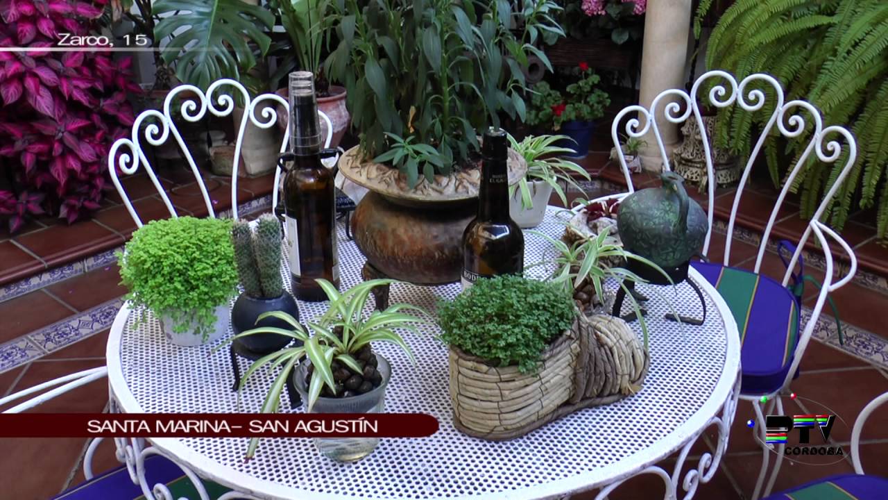 FESTIVAL DE LOS PATIOS CORDOBESES RUTA SANTA MARINA  SAN AGUSTIN