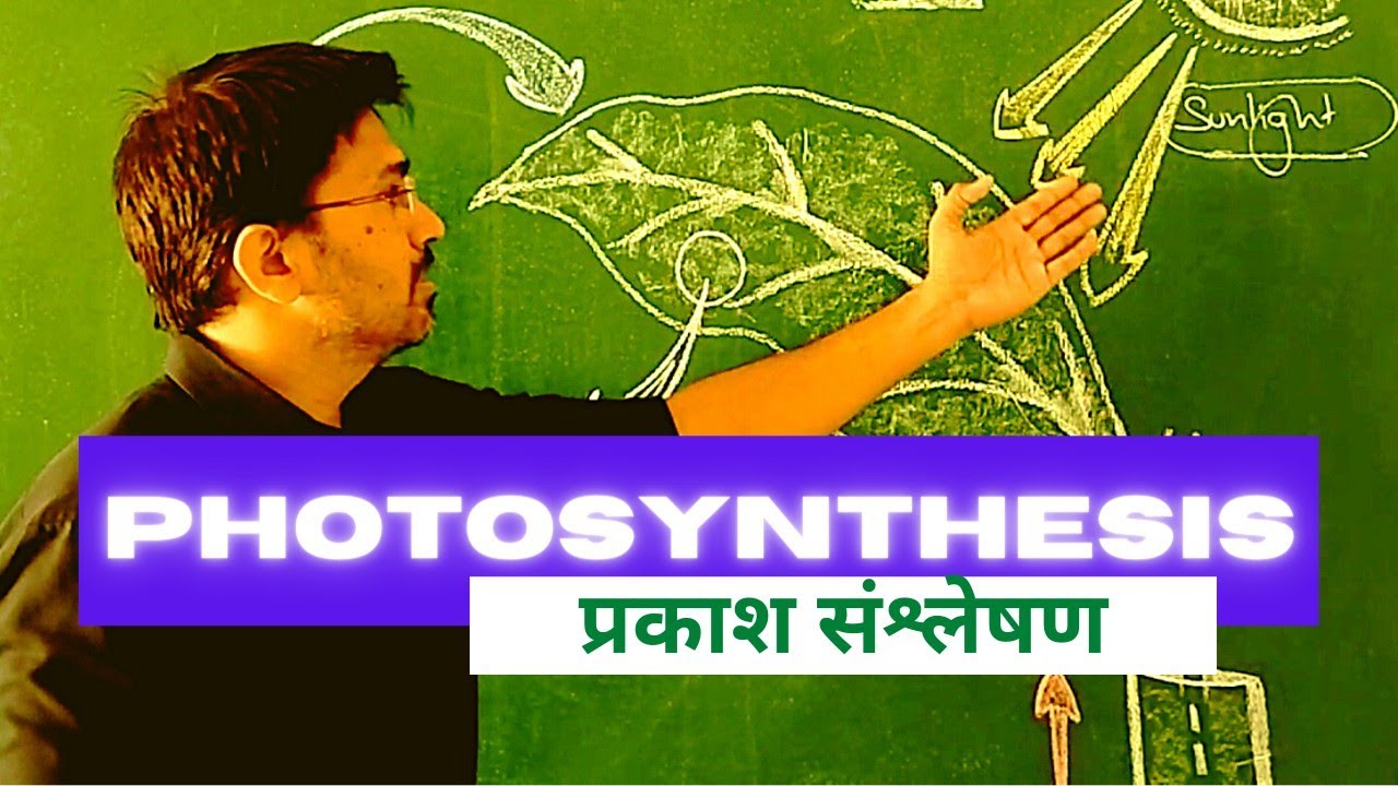 Photosynthesis in Higher Plants Class 11 | Plant Physiology Class 11