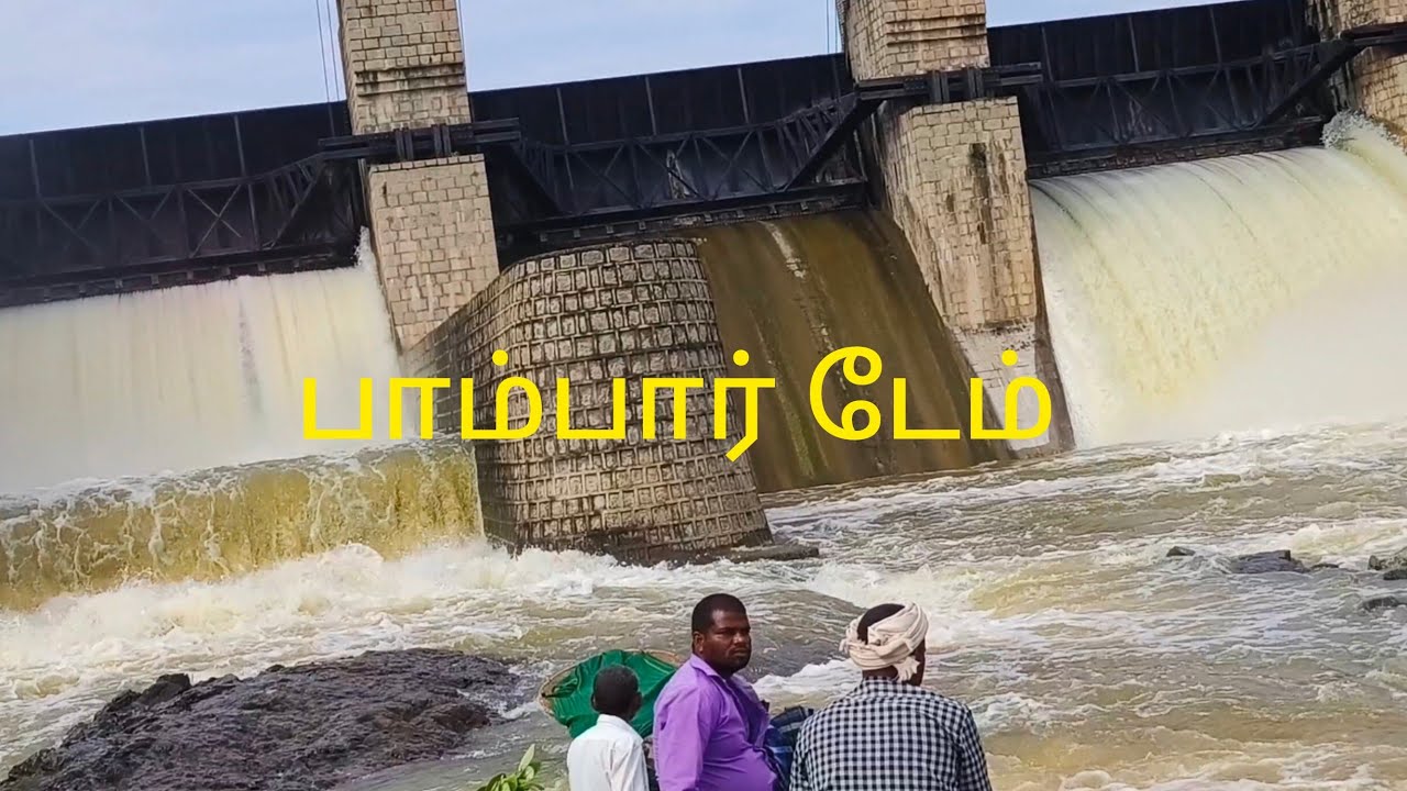 பாம்பார் டேமில் பிடித்த மீன்கள் village life