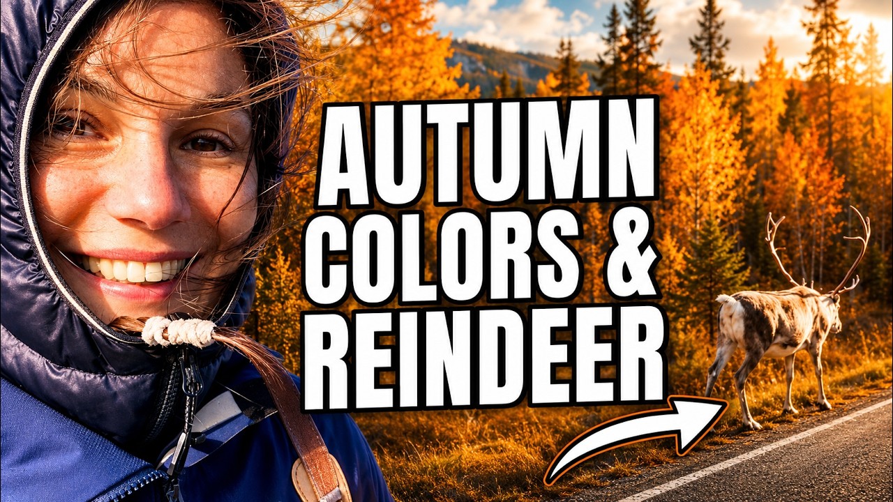 Going North to Lapland (Finland Turning Into Autumn)