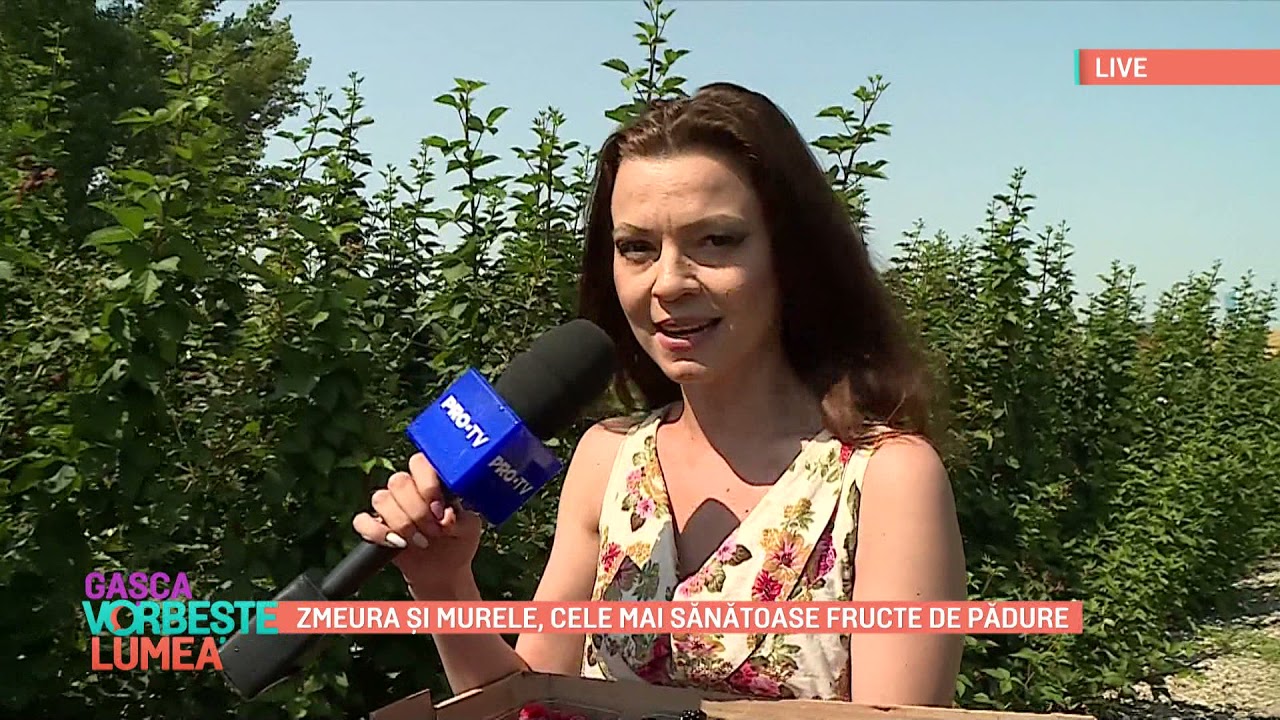 Zmeura și murele, cele mai sănătoase fructe de pădure